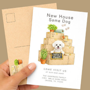 Bichon Frise Nieuw Huis Verhuisbericht Briefkaart