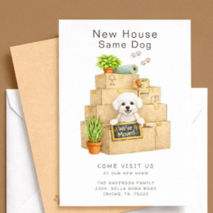 Bichon Frise Nieuw Huis Verhuisbericht Kaart