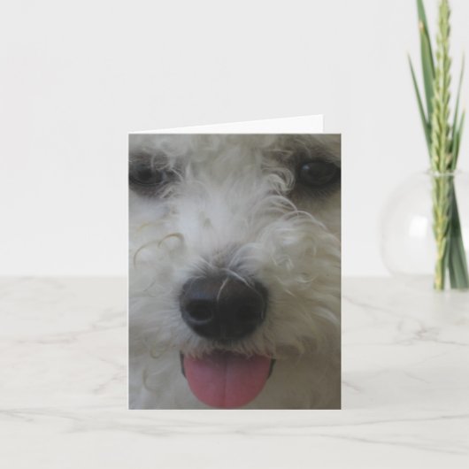 Bichon Frise - Notecard Kaart (Voorkant)