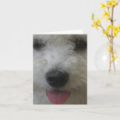 Bichon Frise - Notecard Kaart (Gele Bloem)