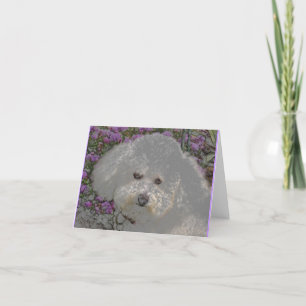Bichon Frise Notecard Kaart