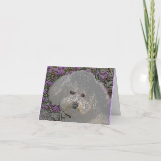 Bichon Frise Notecard Kaart (Voorkant)