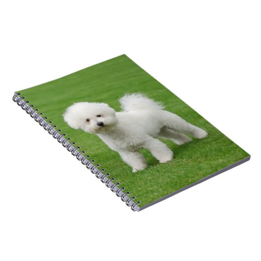 Bichon Frise Notitieboek (Rechterzijde)