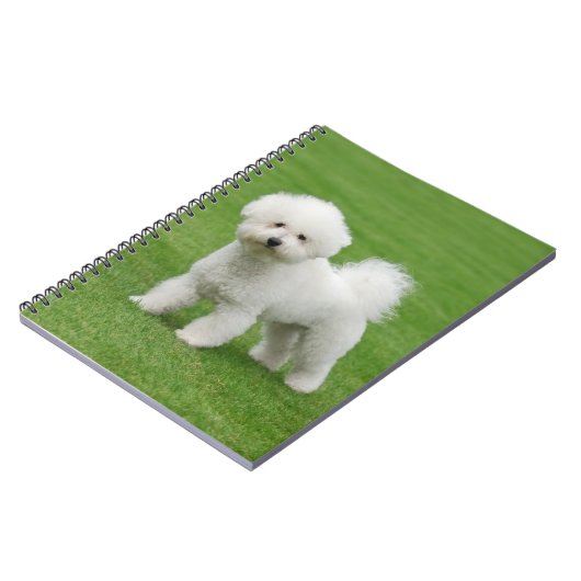 Bichon Frise Notitieboek (Linkerzijde)