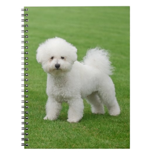 Bichon Frise Notitieboek (Voorkant)
