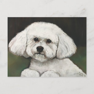 Bichon Frise Original Dog Art Briefkaart