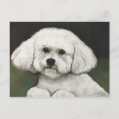 Bichon Frise Original Dog Art Briefkaart (Voorkant)