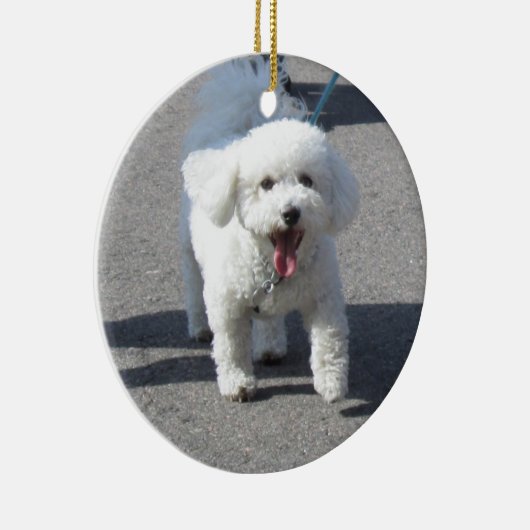 Bichon Frise Ornament (Rechts)