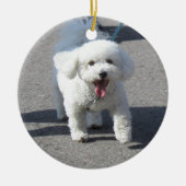 Bichon Frise Ornament (Voorkant)