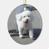 Bichon Frise Ornament (Links)