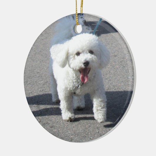 Bichon Frise Ornament (Links)