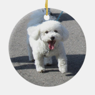 Bichon Frise Ornament