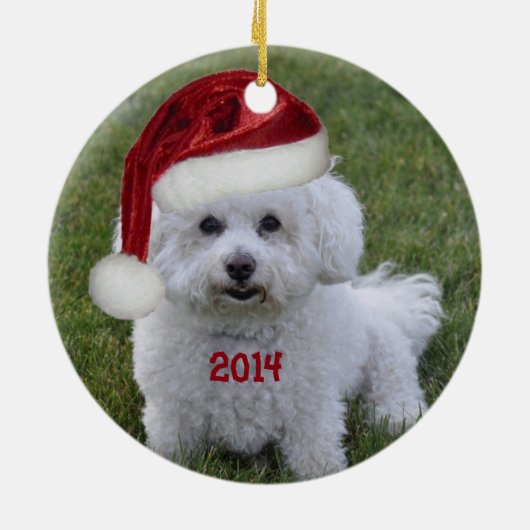 Bichon Frise Ornament 2014 (Achterkant)