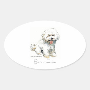 Bichon Frise Ovale Sticker