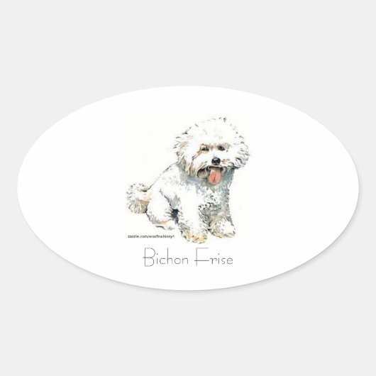 Bichon Frise Ovale Sticker (Voorkant)