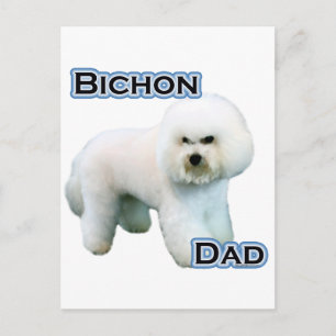 Bichon Frise Pa 4 Briefkaart