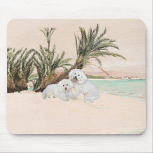 Bichon Frise Palmy Beach Muismat