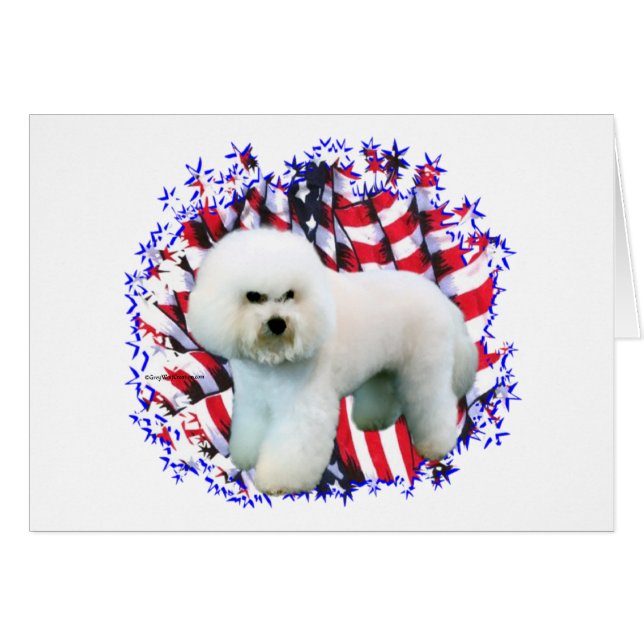 Bichon Frise Patriot (Voorkant Horizontaal)
