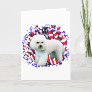 Bichon Frise Patriot Kaart