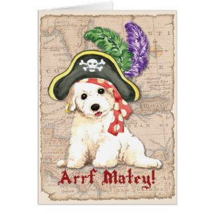 Bichon Frise Pirate-kaart