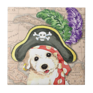 Bichon Frise Pirate Tegeltje