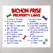BICHON FRISE PL2 POSTER (Voorkant)