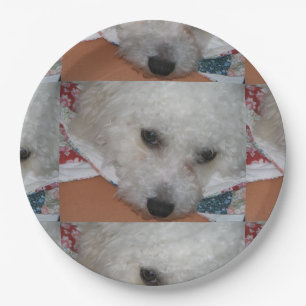 Bichon Frisé.png Papieren Bordje