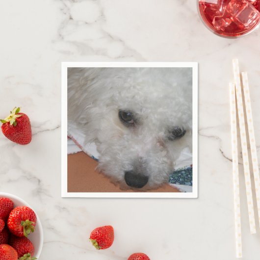 Bichon Frisé.png Servetten (Insitu)