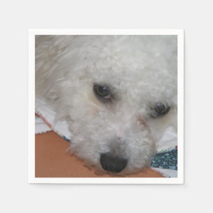 Bichon Frisé.png Servetten