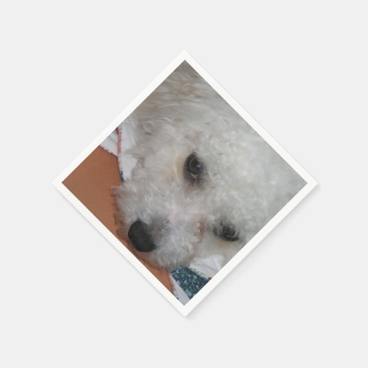 Bichon Frisé.png Servetten (Hoek)