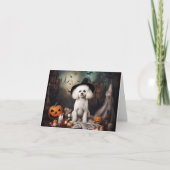 Bichon Frise pompoenen Halloween Scary Kaart (Voorkant)