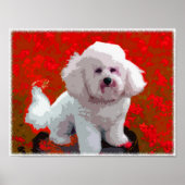 Bichon Frise Pop Art Prints (Voorkant)