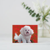Bichon Frise Pop Art Visitekaartjes (Staand voorkant)