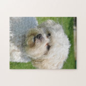 Bichon Frise Portrait Legpuzzel (Horizontaal)