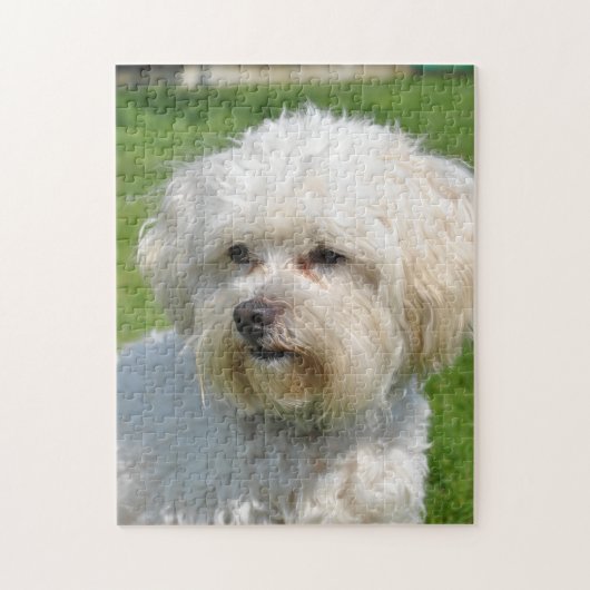 Bichon Frise Portrait Legpuzzel (Verticaal)
