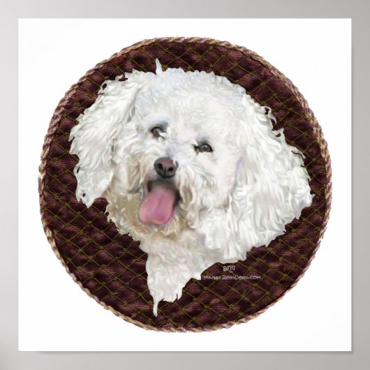 Bichon Frise Portret Poster (Voorkant)