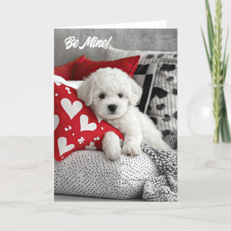 Bichon Frise Pup Valentijnskaart Bedankkaart