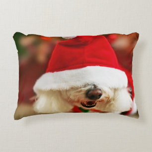 Bichon Frise pupil met kerstkleed Decoratief Kussen