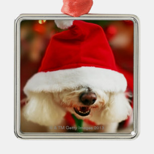 Bichon Frise pupil met kerstkleed Metalen Ornament