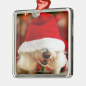Bichon Frise pupil met kerstkleed Metalen Ornament (Links)