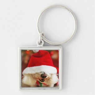Bichon Frise pupil met kerstkleed Sleutelhanger