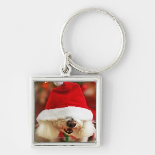 Bichon Frise pupil met kerstkleed Sleutelhanger (Voorkant)