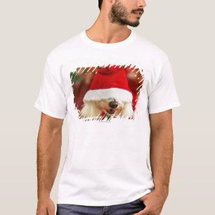 Bichon Frise pupil met kerstkleed T-shirt