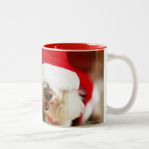 Bichon Frise pupil met kerstkleed Tweekleurige Koffiemok