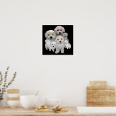 Bichon Frise Puppies afdrukken Poster (Keuken)