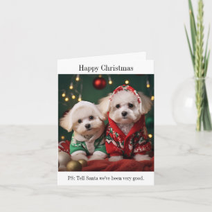 Bichon Frise Puppies Happy Christmas Kaart