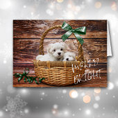 Bichon Frise-Puppies in mandje kerstKaart