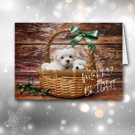 Bichon Frise-Puppies in mandje kerstKaart