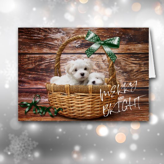 Bichon Frise-Puppies in mandje kerstKaart