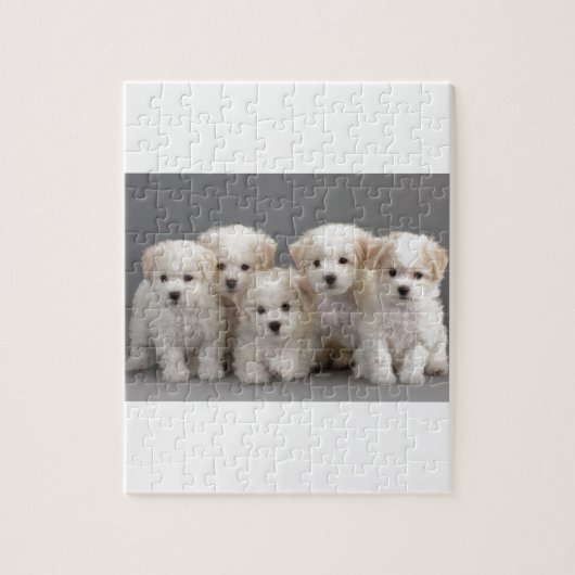 Bichon Frisé Puppies Legpuzzel (Verticaal)
